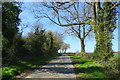 Lane, Bourton Westwood