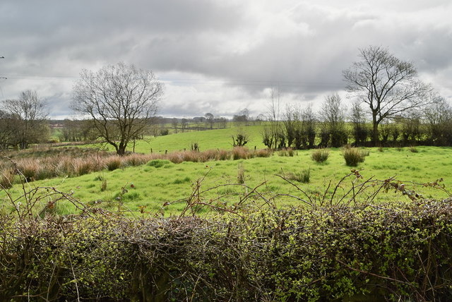 Rough ground, Recarson © Kenneth Allen :: Geograph Britain and Ireland