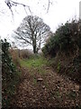 A normally wet section of the Ulster Way between Urnai and Forkhill