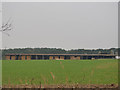 Straw storage at piggery