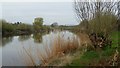 The Severn at Minsterworth