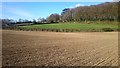 Ploughed up footpath