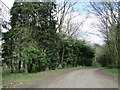 Road between Holme Hale and Bradenham