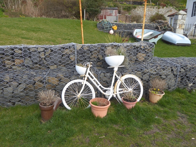 White bicycle as planter