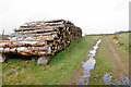 SS7849 : Pile of logs on Old Burrow Hill by Bill Boaden
