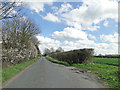 TF9305 : Long Road, near Pear Tree Farm by Adrian S Pye