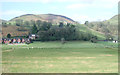 Grazing near Little Stretton