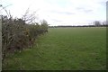 Field near Westlinton