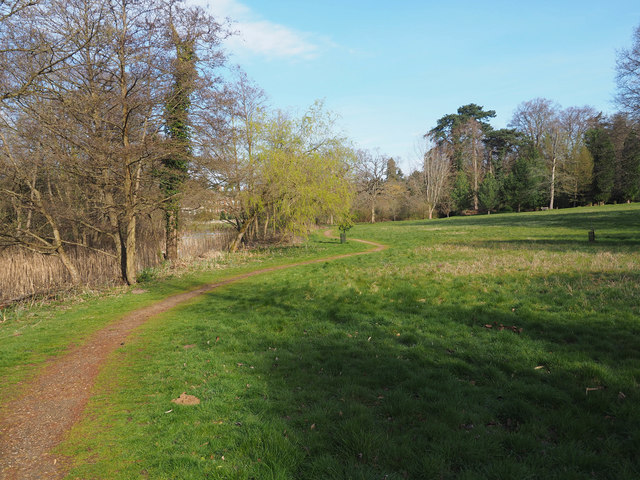 Path in Lynford Arboretum © David Pashley :: Geograph Britain and Ireland