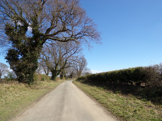 Border Lane, Ashby