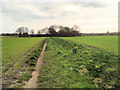 Path across Farmland near Windle Brook