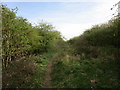 Path along a former railway line