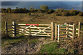 Gates onto Middlebere Heath