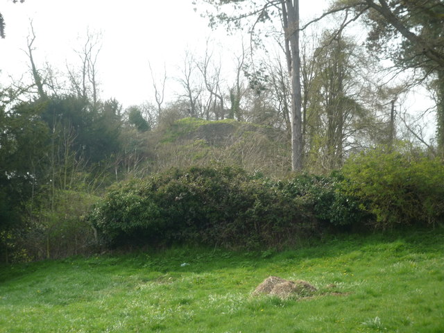 Richards Castle (Motte)