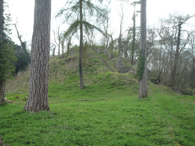 Richards Castle (Motte)