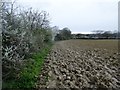 Footpath to West Wolves Farm