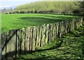 Terfyn yng Nglynllifon / Boundary at Glynllifon