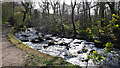 Footpath beside Afon Ysgethin