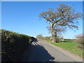 Minor road near Betton Abbots