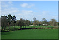 Grazing near Dorrington