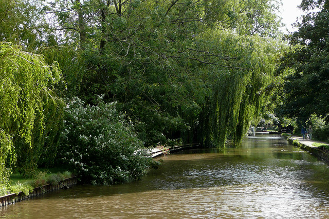 Canal Approaching Trentham In © Roger Kidd :: Geograph Britain And 