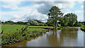 Canalside pasture north of Barlaston in Staffordshire