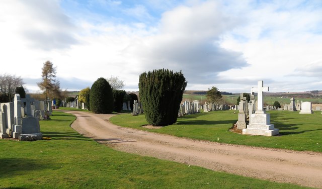 Yew trees in Broomhill Cemetery