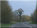 Bend on the Burbage Bypass