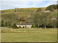 Farmland around Middle Blackdene (2)