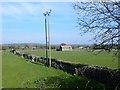 Field barn between Wild Forest Lane and Ballyhafry Road