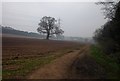 Path from Mount Segg to Deansford Lane