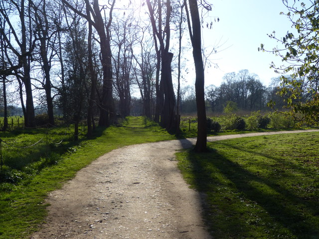 Attingham Park