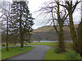 Through the trees to Loch Long