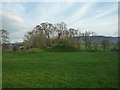 Weobley Castle