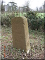 Old Milestone by the A422, Stratford Road, Upton