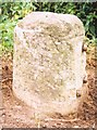 Old Milestone by the B4019, Broadbush