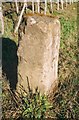 Old Milestone by the A421, west of Finmere