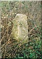 Old Milestone by the B4022, Banbury Hill