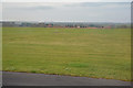 Cardiff Airport : Grass