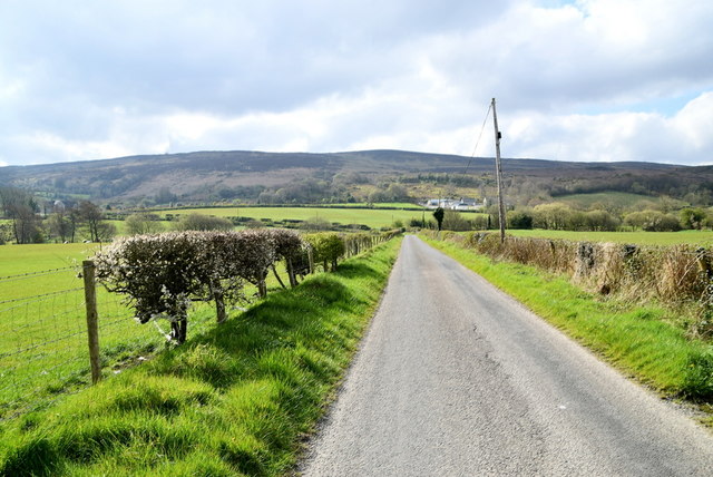 Neat hedge along Garvetagh Road © Kenneth Allen cc-by-sa/2.0 ...