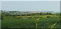 Farmland from the A388