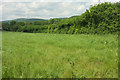 Grass field by Dolbeare Road