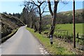 Minor road in the Stinchar valley