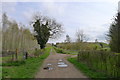 Byway into Grange Wood