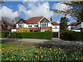 Houses on West Ella Road, West Ella