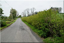 H4372 : Aghnamoyle Road, Cornacracken / Mullaghmenagh Upper by Kenneth  Allen