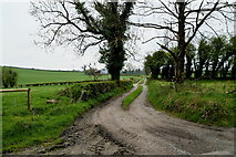 H4372 : Lane, Mullaghmenagh Upper by Kenneth  Allen