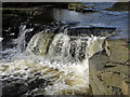 NY8738 : Waterfall on the River Wear by Bridge End Ford by Mike Quinn