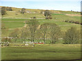 Farmland by the River Wear between St. John