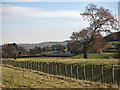 Low embankment on the former Bishop Auckland to Wearhead branch line (2)